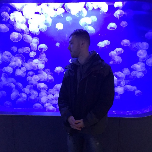 Meet your Posher, Dylan - Picture 1 of 4